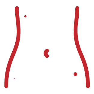 stomach mole Icon